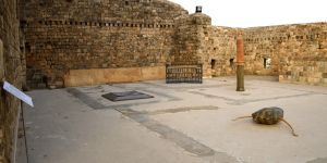 Haig Aivazian , Rome is not in Rome, installation
