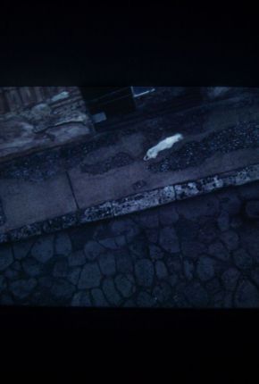 The Silent Echo-Exhibition