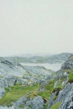 Tales Of A Sea Cow-Screening