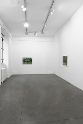 Rise -Exhibition